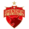 Shenzhen-CHI Shenzhen-CHI